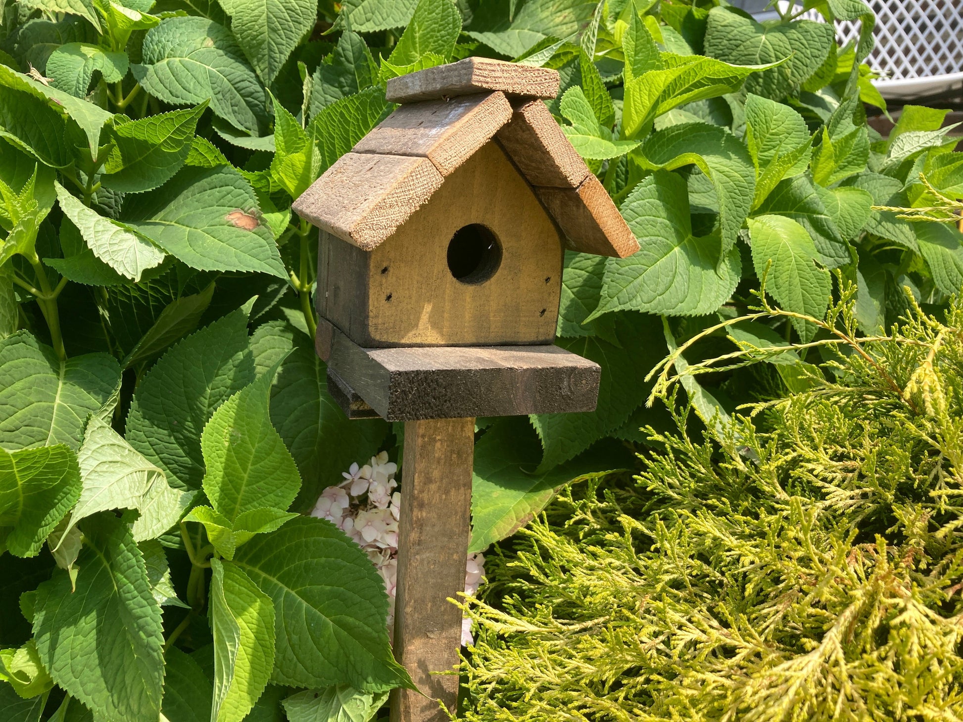 Birdhouse Stake- Small Sassafras Originals