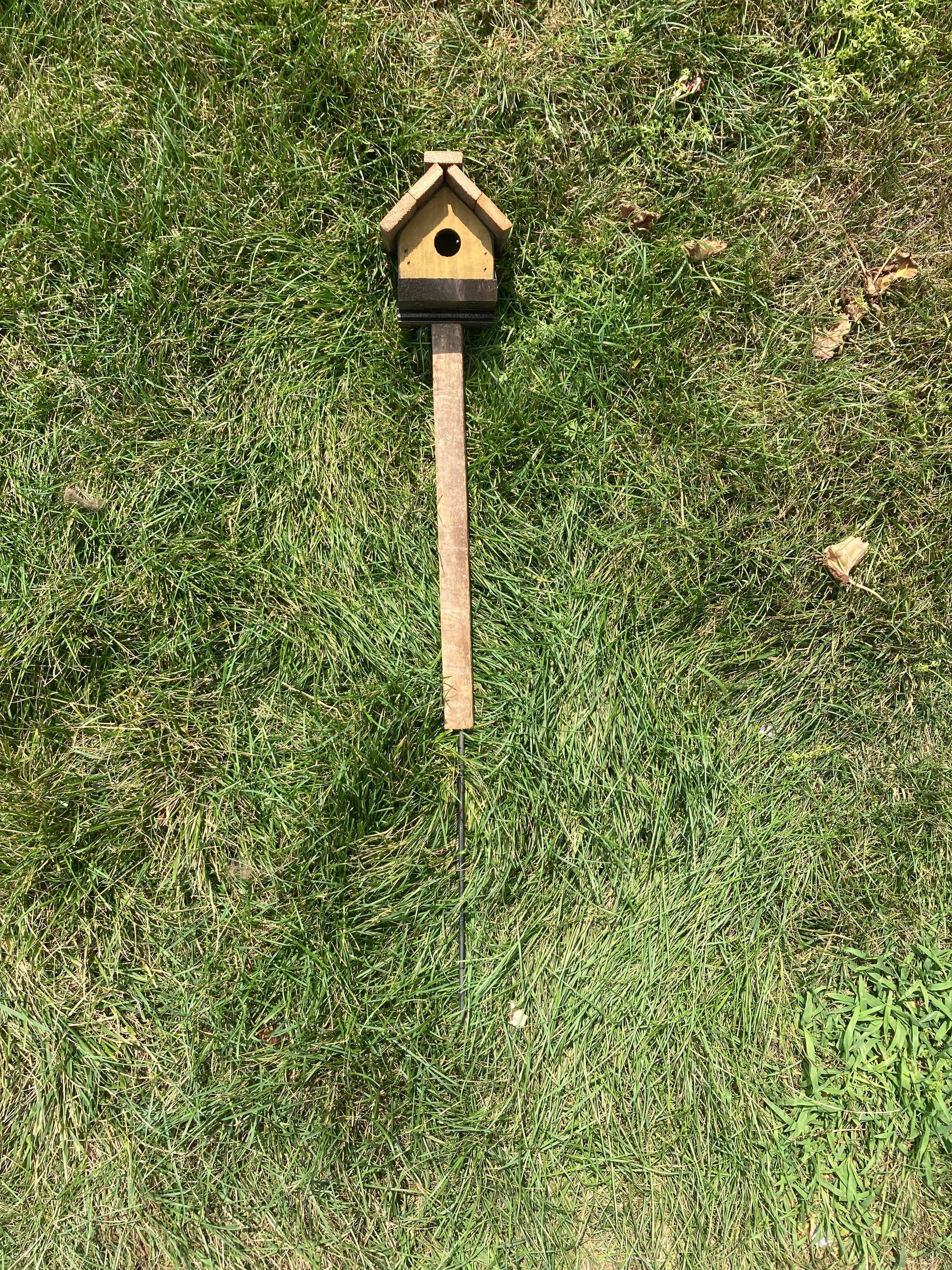 Birdhouse Stake- Small Sassafras Originals