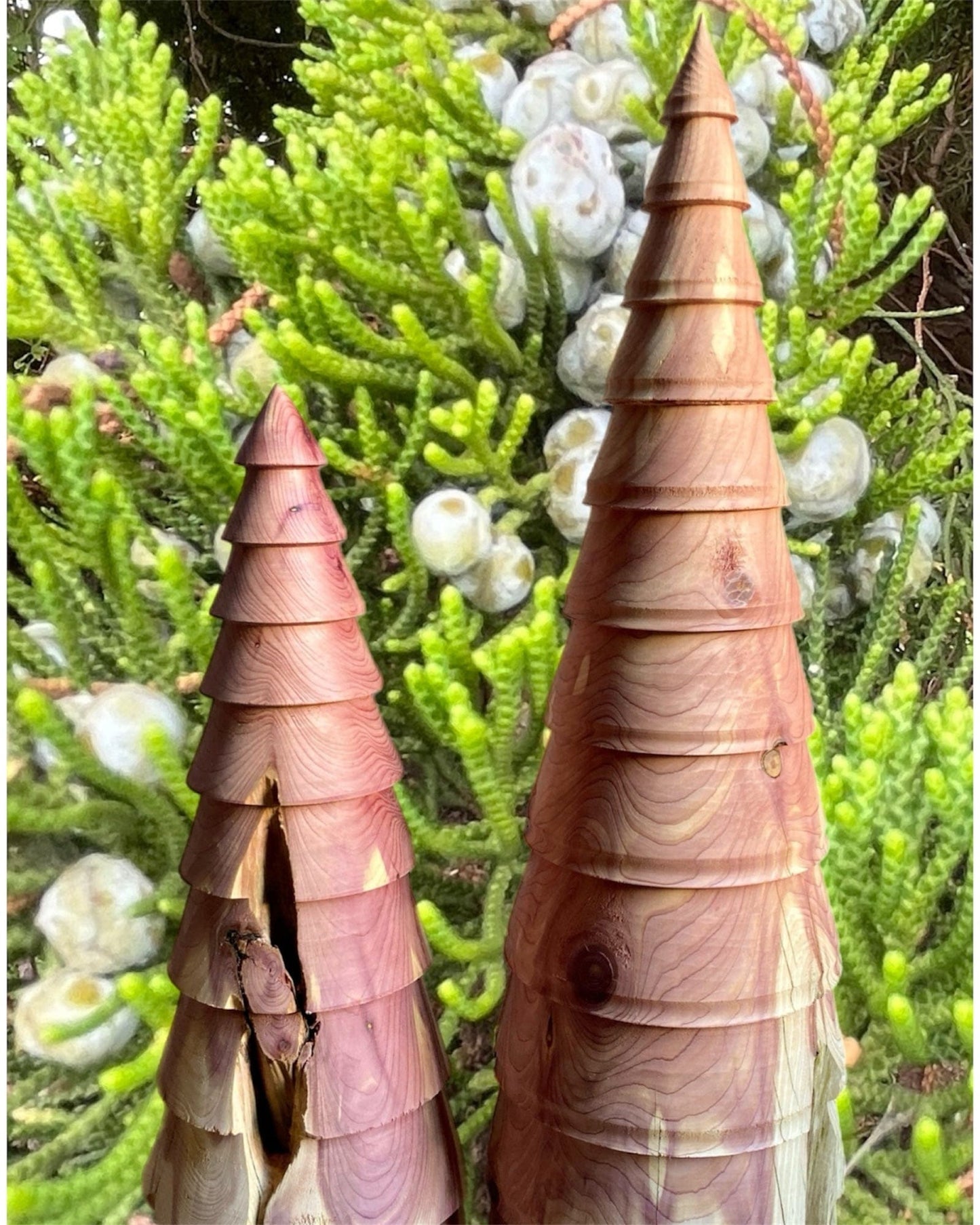 Cedar Trees-Hand Turned Rustic Tree-Tall Cedar Trees-Hand Turned Rustic Tree-Tall Seasonal & Holiday Decorations Sassafras Originals