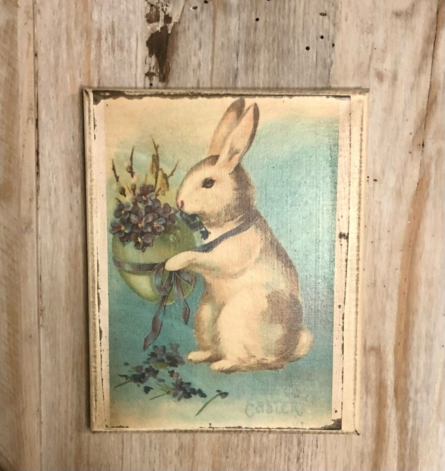 Rabbit Easter Canvas sassafrasorig