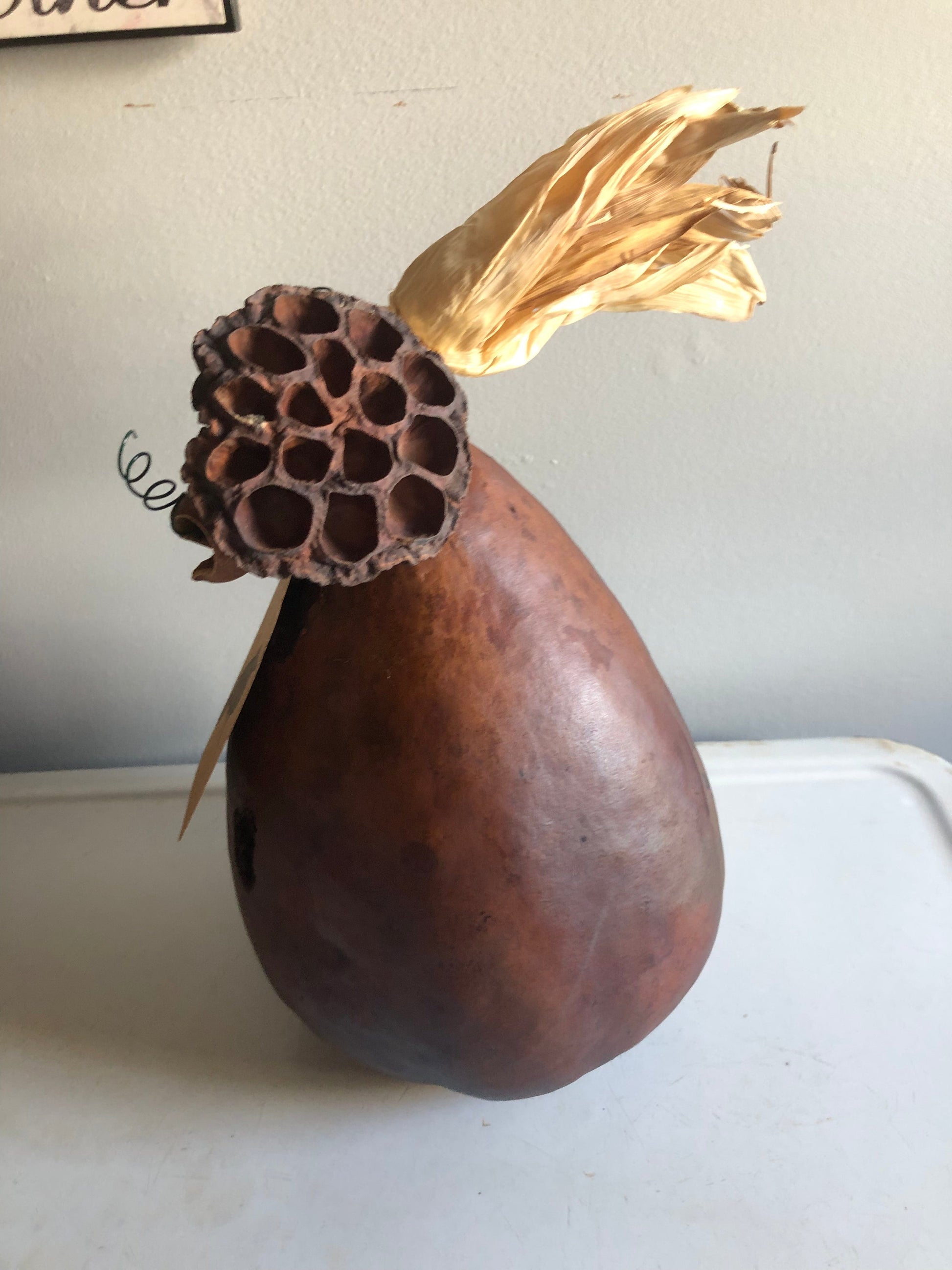 Fall Gourds- Natural Dried Display Sassafras Originals