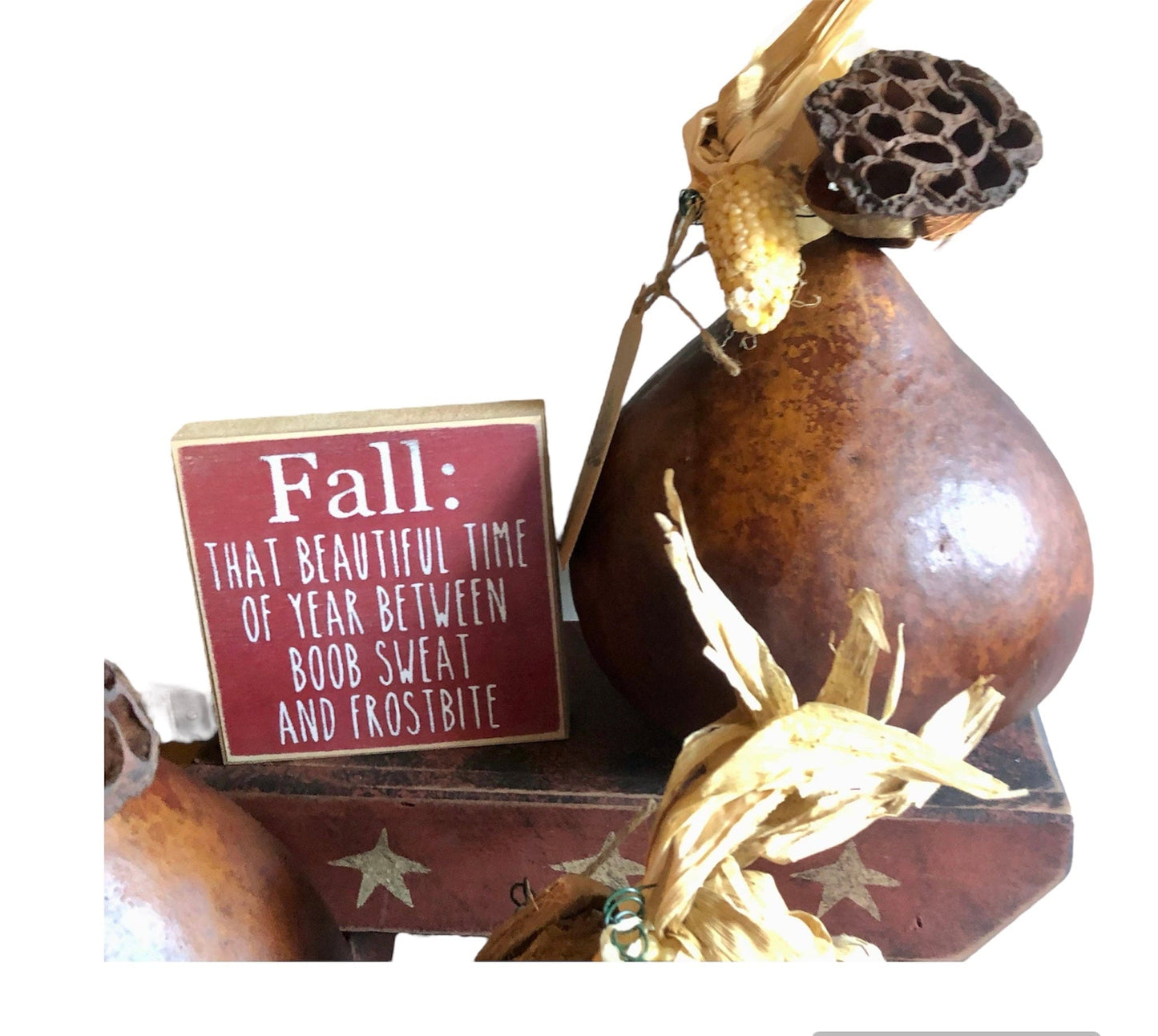 Fall Gourds- Natural Dried Display Sassafras Originals