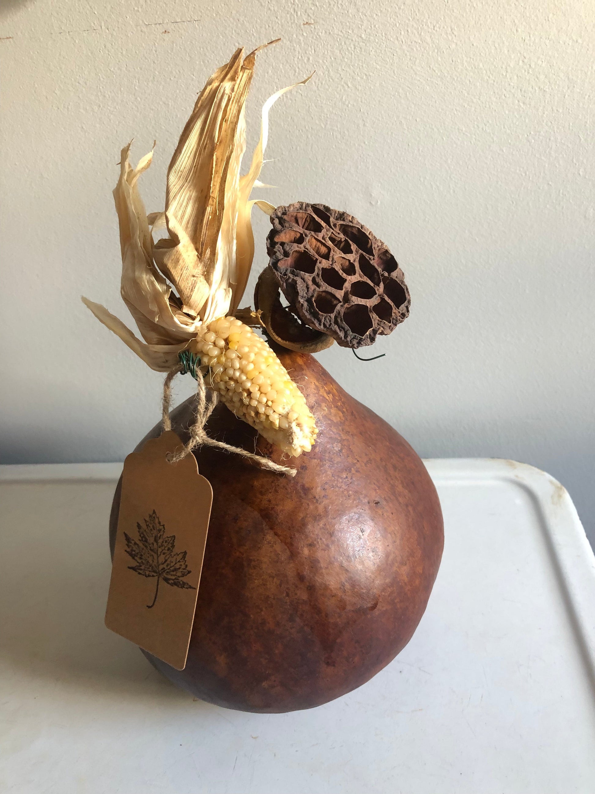 Brown Fall Gourds- Natural Dried Display Sassafras Originals