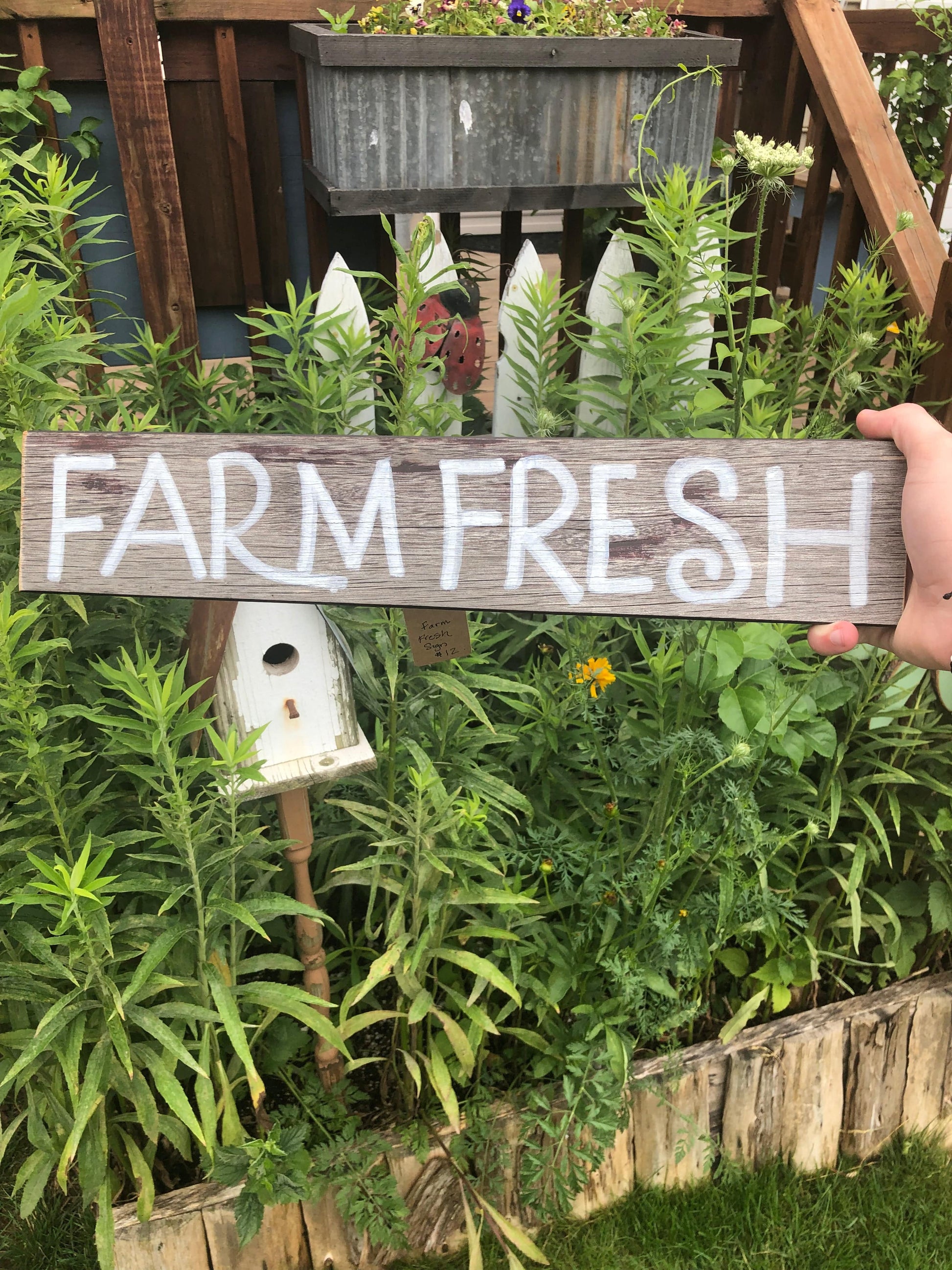 Farm Fresh Sign Sassafras Originals