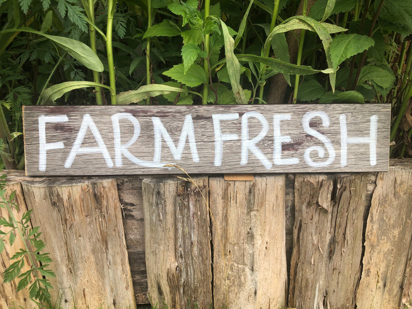 Farm Fresh Sign Sassafras Originals