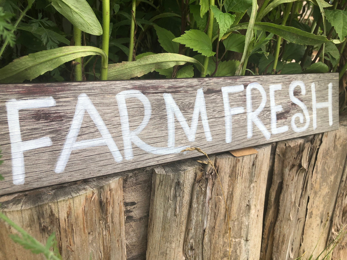 Farm Fresh Sign Sassafras Originals