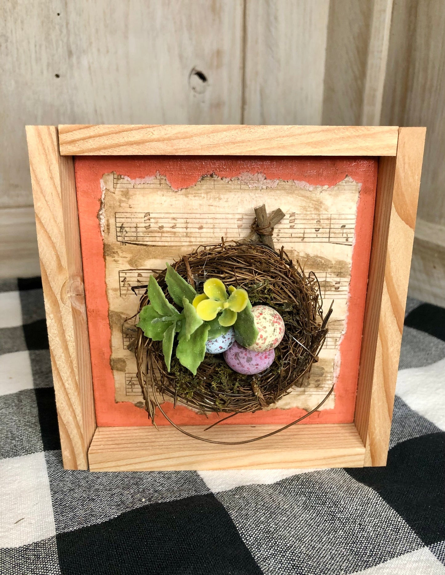 Spring Nest Decoration-Framed Sassafras Originals