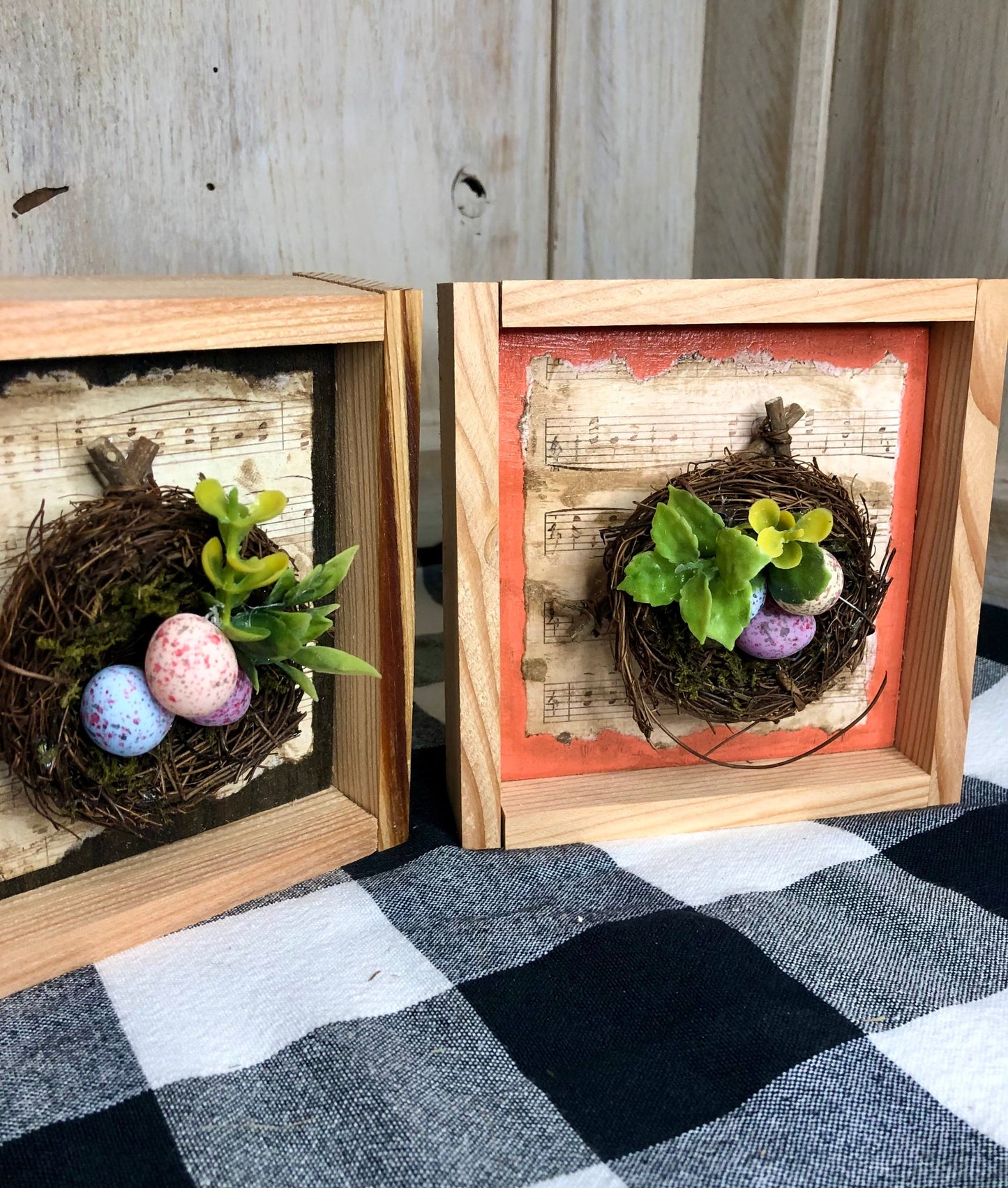 Spring Nest Decoration-Framed Sassafras Originals