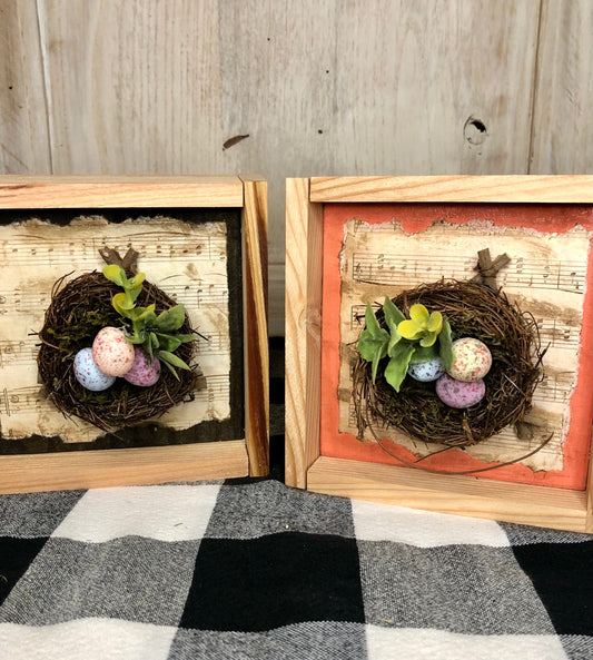 Spring Nest Decoration-Framed Sassafras Originals