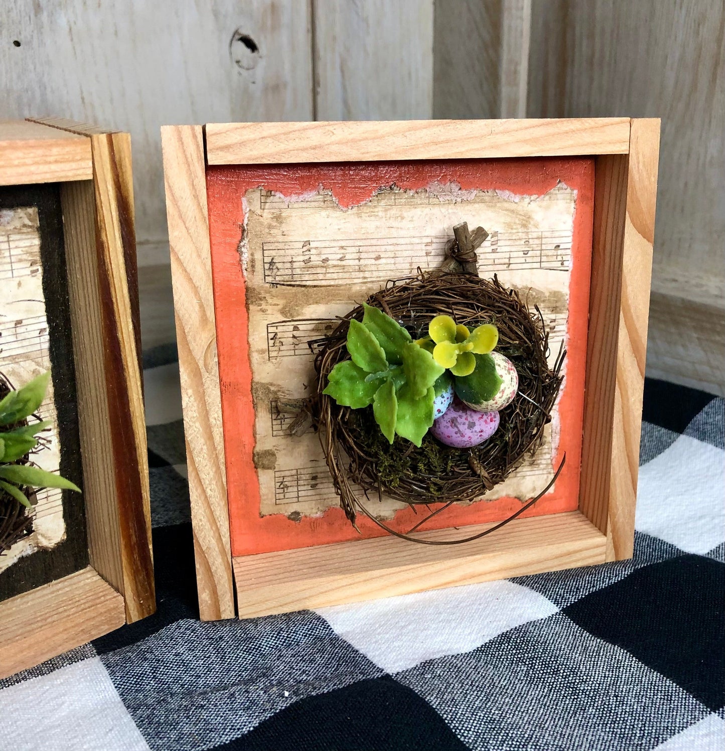 Spring Nest Decoration-Framed Sassafras Originals