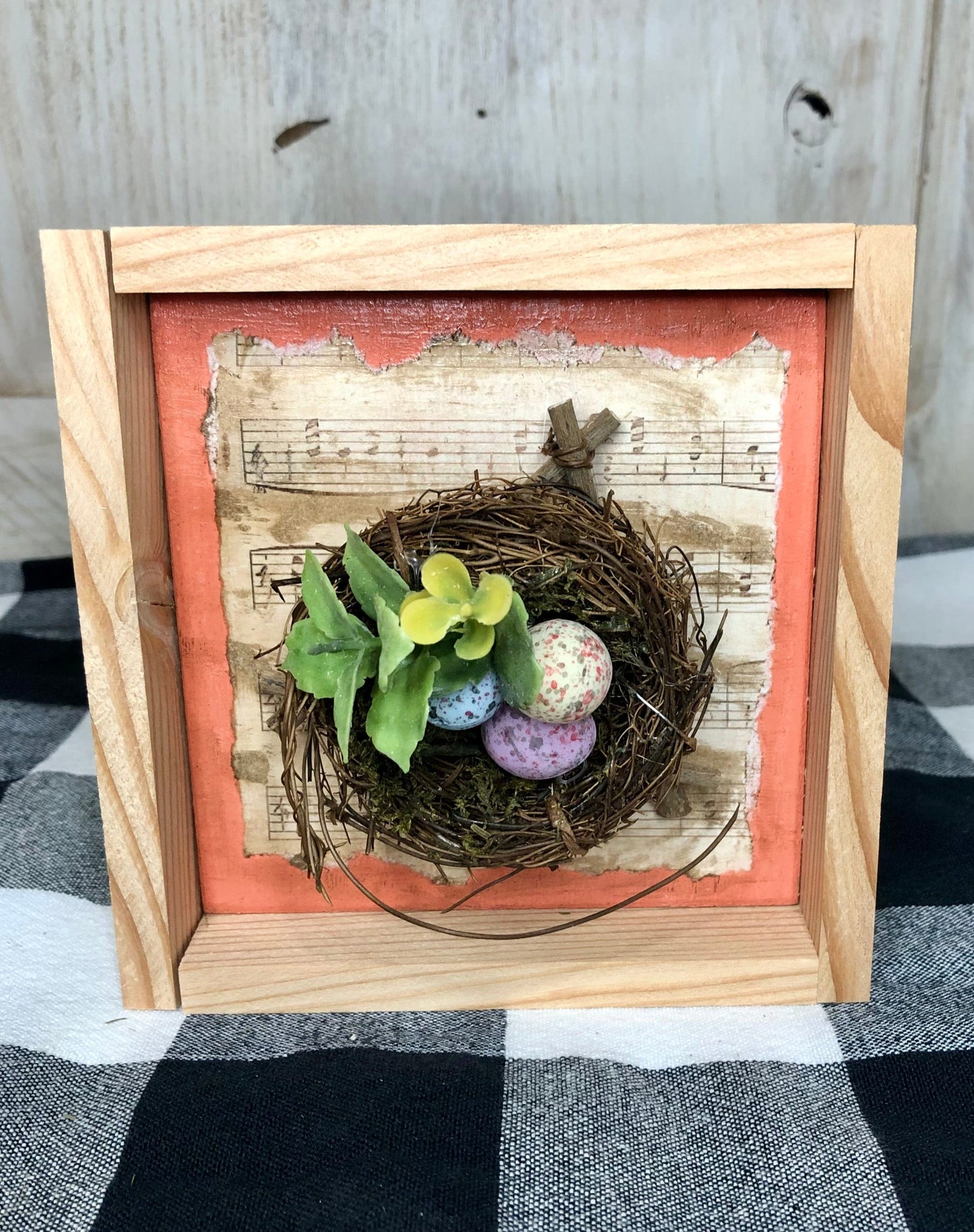 Coral Spring Nest Decoration-Framed Sassafras Originals