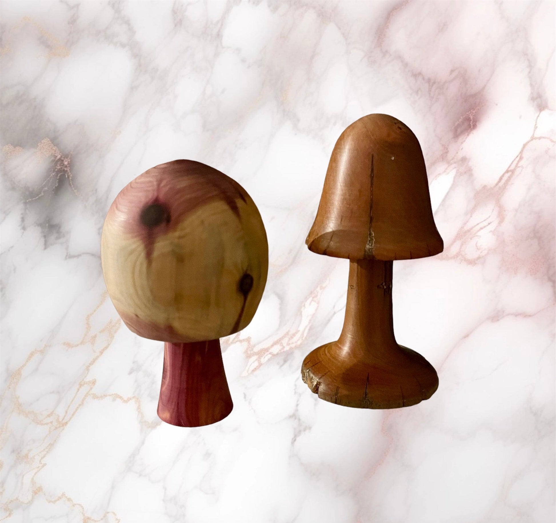 Cedar Wood Mushrooms Sassafras Originals